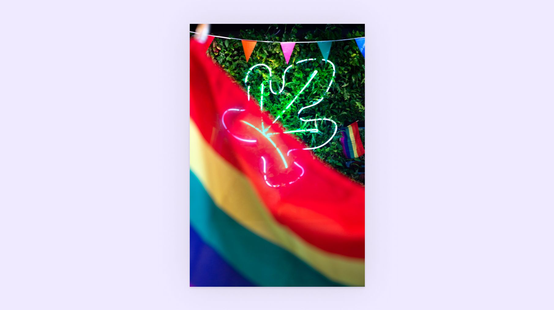 Fotografi av pride-flagg foran et fikenblad i neon på Fikens kontor.